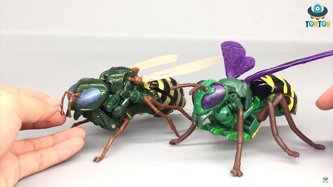 Transformers Kingdom Deluxe Class Waspinator  (36 of 38)